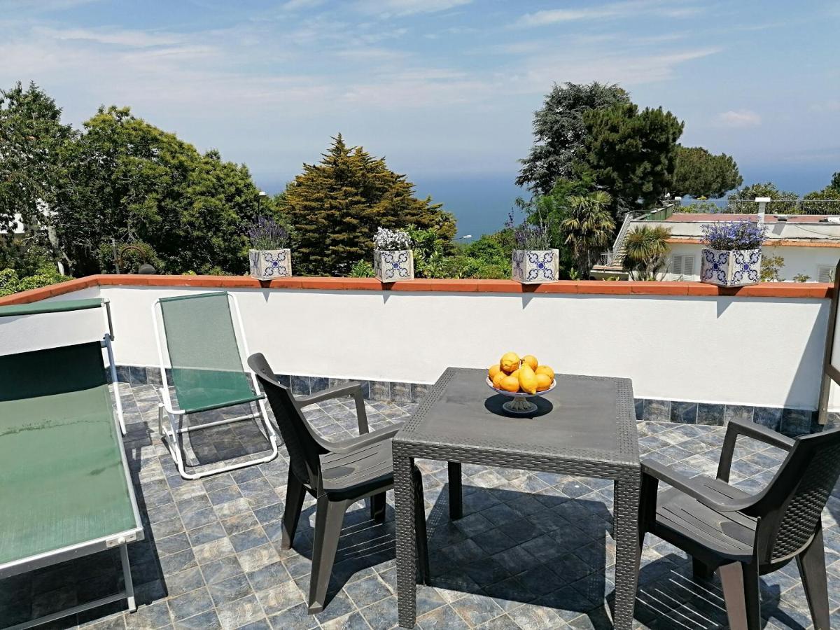 B&B Villa Teresa Sorrento Exteriér fotografie